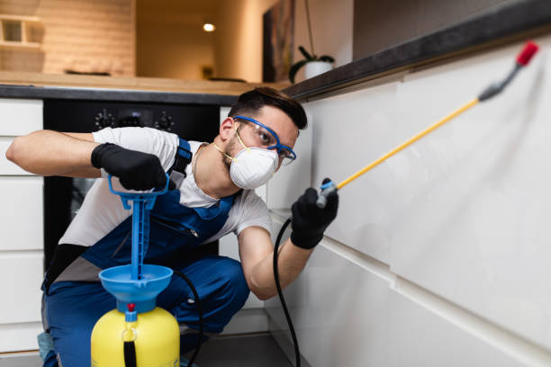 Best Affordable Pest Control Services  in Dale City, VA