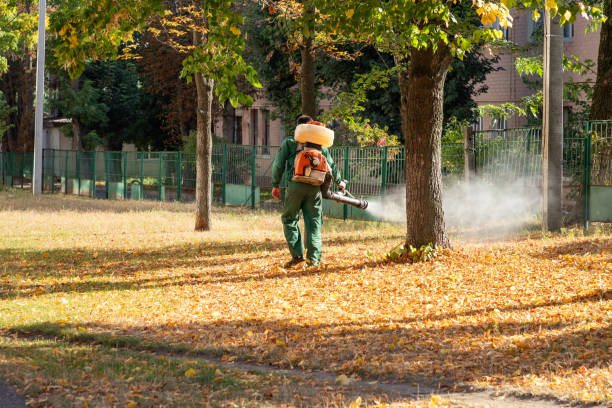Best Residential Pest Control  in Dale City, VA